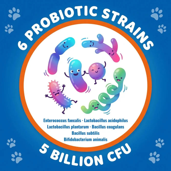 【100 Chews】Probiotics for Dogs-  - Relieve stomach sensitivity and dog gut health probiotics - Digestive Remedies Happy Tails Pet Shop Store