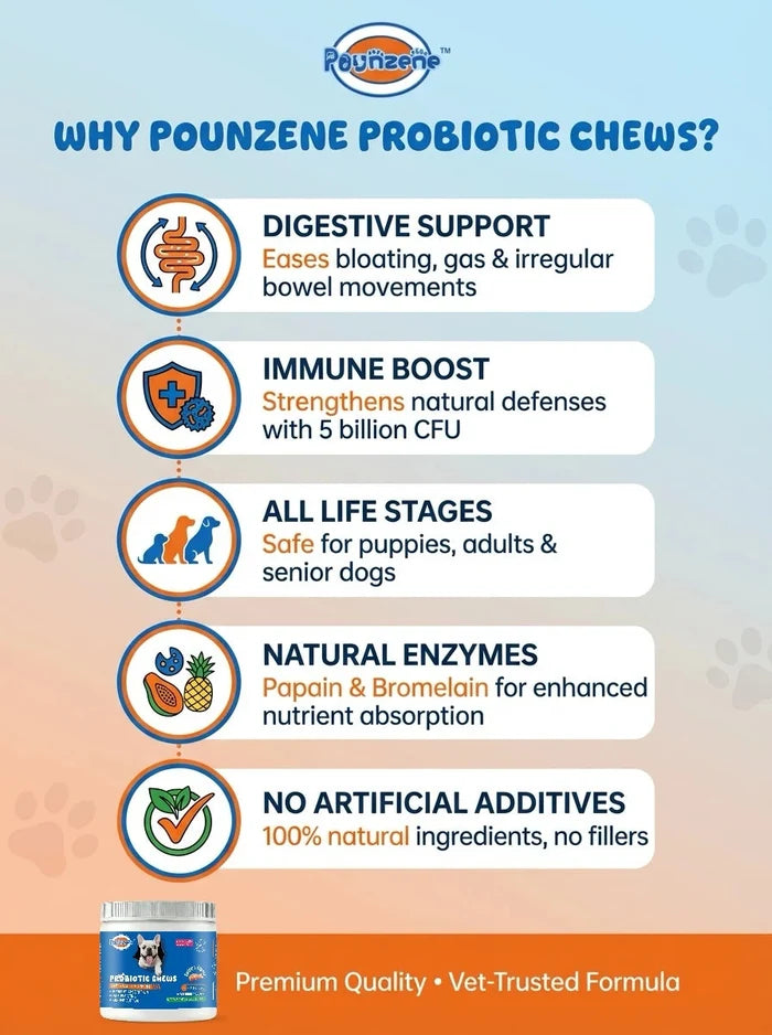 【100 Chews】Probiotics for Dogs-  - Relieve stomach sensitivity and dog gut health probiotics - Digestive Remedies Happy Tails Pet Shop Store