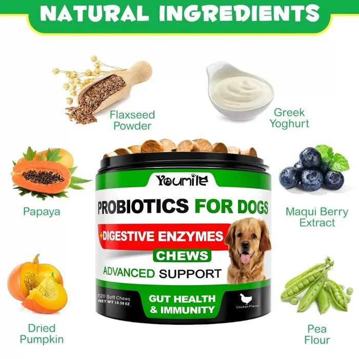 【120 Chews】Probiotics for Dogs-  - Relieve stomach sensitivity and dog gut health probiotics - Digestive Remedies Happy Tails Pet Shop Store