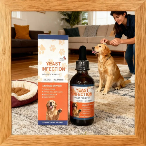 1/2/3PCS 60ML Dog Pet Drops Gentle Care Supplement To Maintain Healthy Coat and Skin for Dogs PET CARE Happy Tails Pet Shop Store