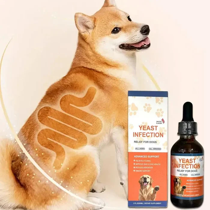 1/2/3PCS 60ML Dog Pet Drops Gentle Care Supplement To Maintain Healthy Coat and Skin for Dogs PET CARE Happy Tails Pet Shop Store