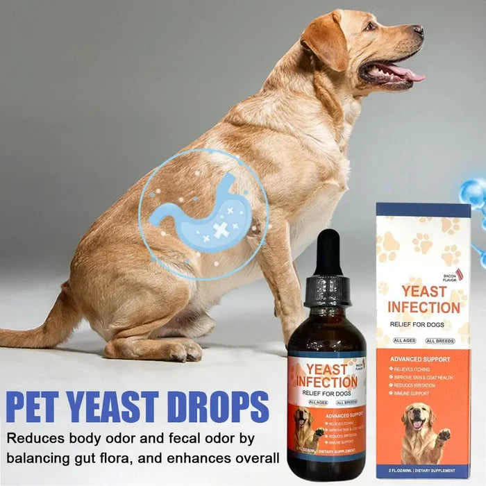 1/2/3PCS 60ML Dog Pet Drops Gentle Care Supplement To Maintain Healthy Coat and Skin for Dogs PET CARE Happy Tails Pet Shop Store