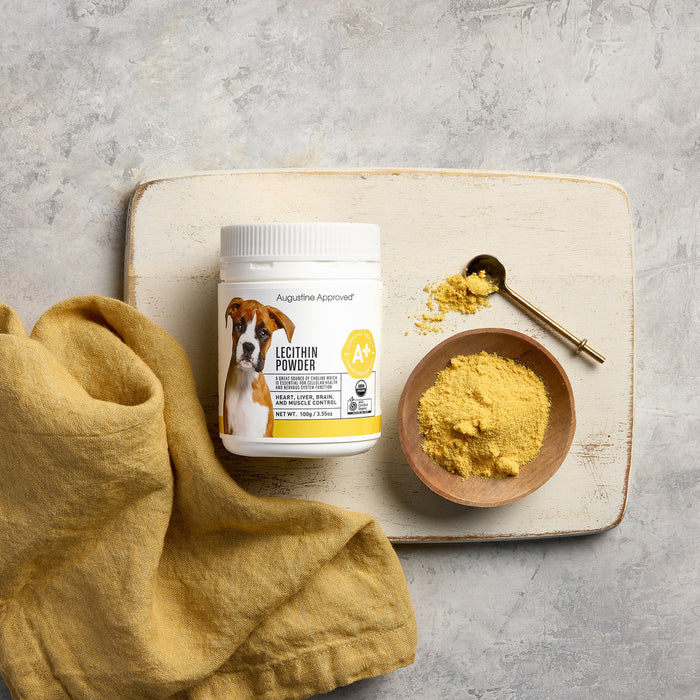 A+ Lecithin Powder