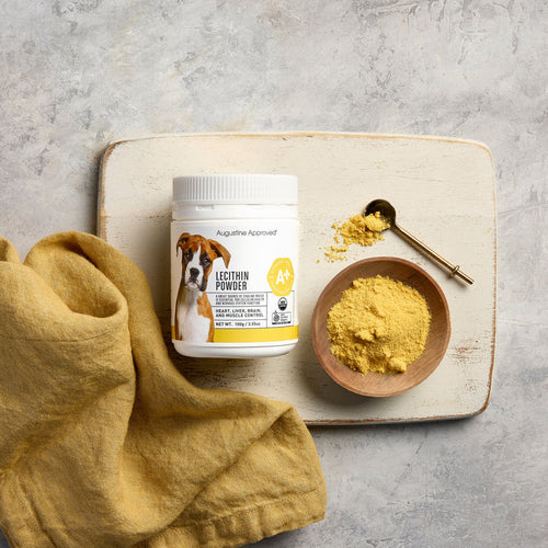 A+ Lecithin Powder