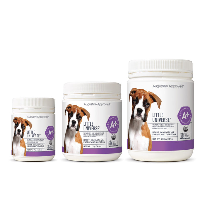 A+ Little Universe - Organic Mushroom Supplement