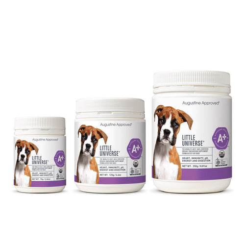 A+ Little Universe - Organic Mushroom Supplement