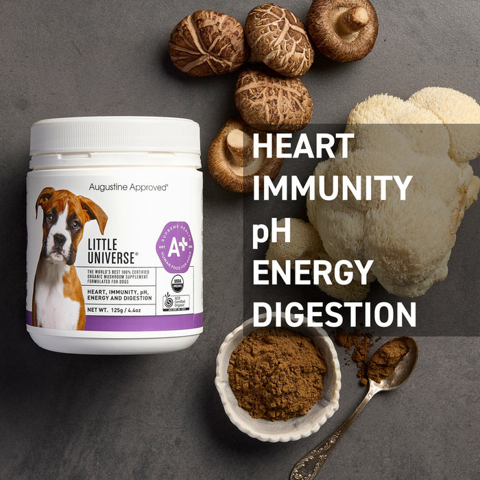 A+ Little Universe - Organic Mushroom Supplement