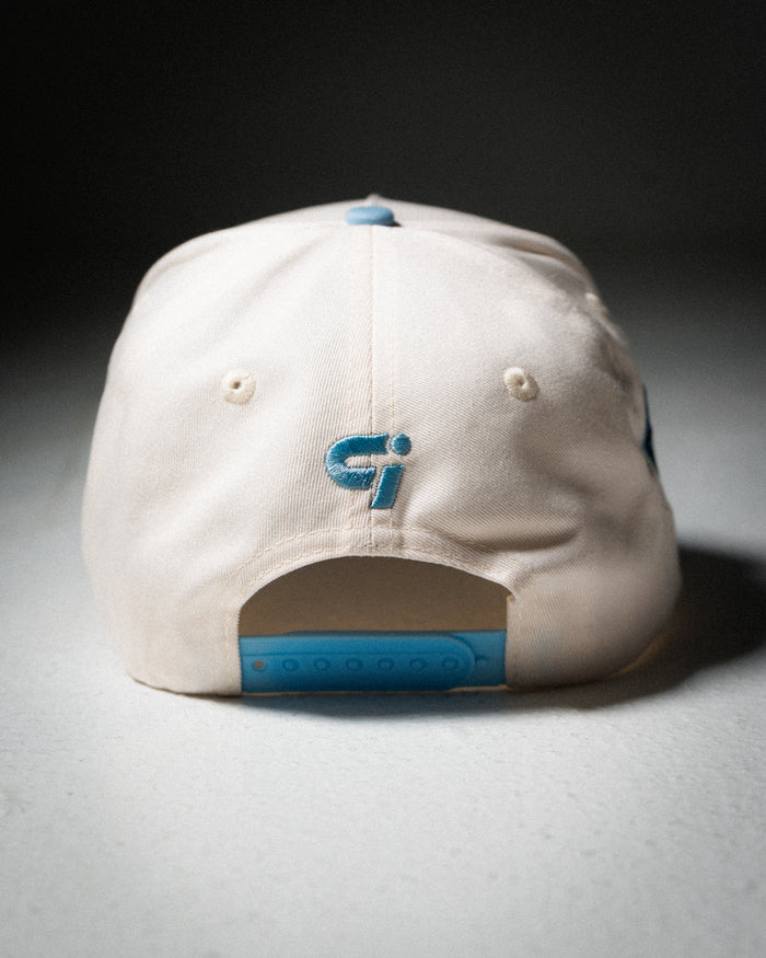 Artic Trucker Hat