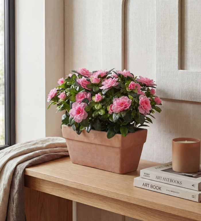 Artificial Azalea & Balcony Pot