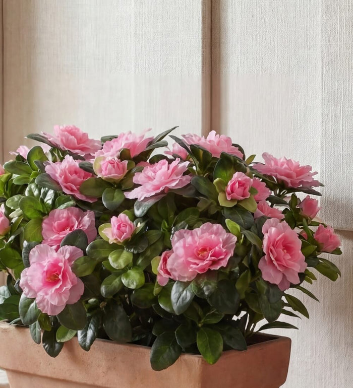 Artificial Azalea & Balcony Pot