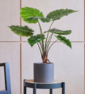Artificial Giant Elephant Ear