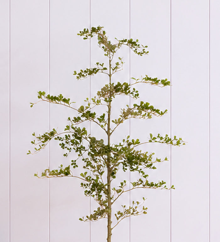 Artificial Shady Lady Tree