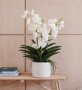 Artificial White Orchid