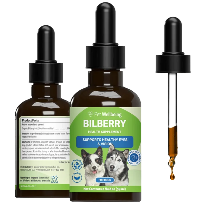 Bilberry - Supports Healthy Vision and Capillaries in Dogs
