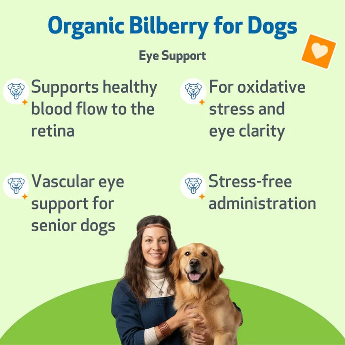 Bilberry - Supports Healthy Vision and Capillaries in Dogs