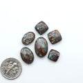 Seven brown stones with blue veins on a white background, one next to a U.S. dime for scale. Rare Bisbee Turquoise cabochons with rich blue color and classic brown matrix. Perfect for jewelry makers, collectors, and lovers of fine American turquoise.