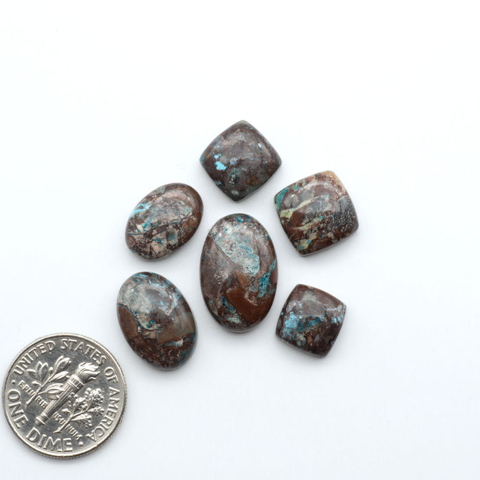 Seven brown stones with blue veins on a white background, one next to a U.S. dime for scale. Rare Bisbee Turquoise cabochons with rich blue color and classic brown matrix. Perfect for jewelry makers, collectors, and lovers of fine American turquoise.