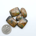 Black Jack turquoise cabochons, blue-green color with black matrix, polished stones on a white background with a US dime for scale