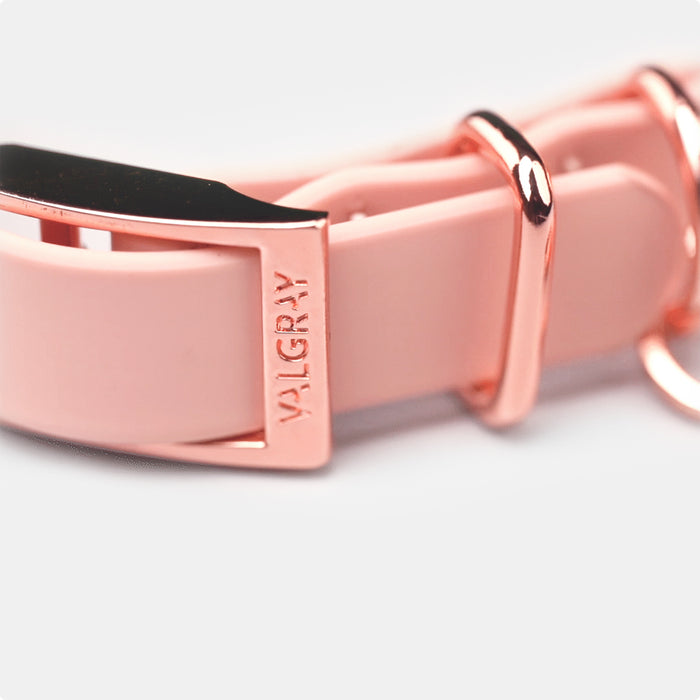 Valgray Premium Dog Collar - Close Up Rose Gold Colour Plated Hardware