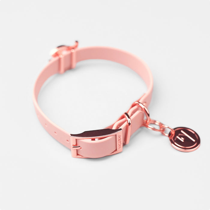 Valgray Premium Dog Collar - Blush & Rose Gold - Close Up Top View