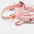 Blush & Rose Gold