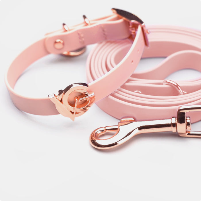 Blush & Rose Gold
