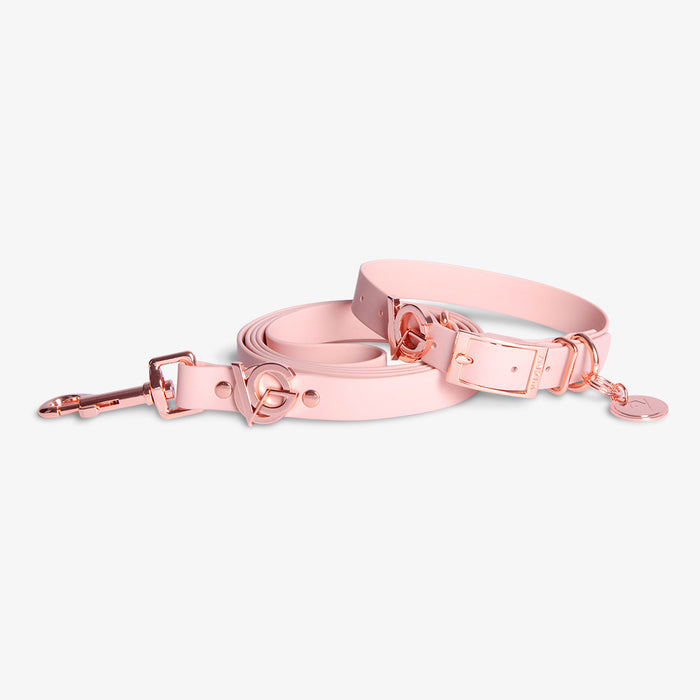 Valgray Premium Blush and Rose Gold Dog Collar and Leash