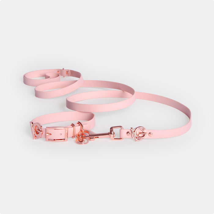 Blush & Rose Gold