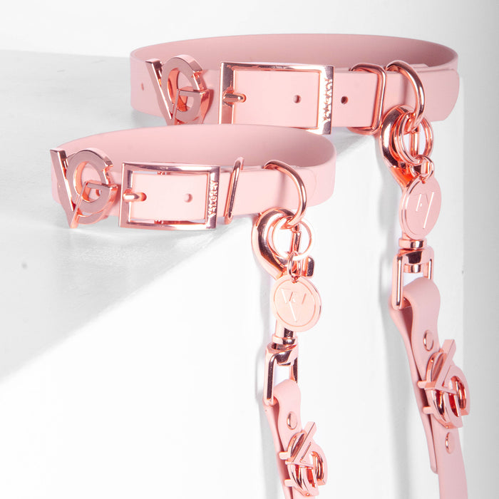 Beautiful Valgray Premium Blush and Rose Gold Dog Collar and Leash Set