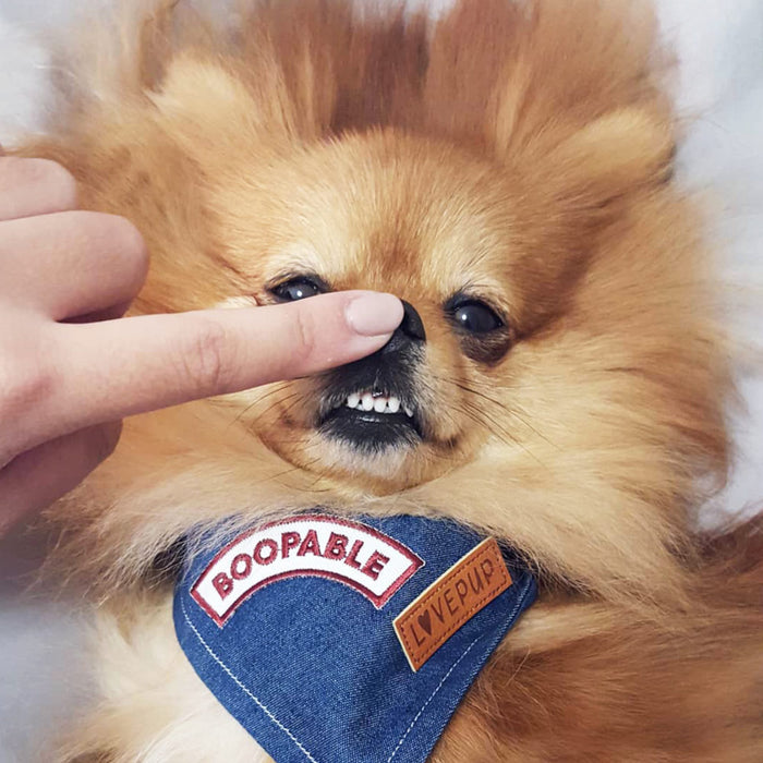 Boopable Badge