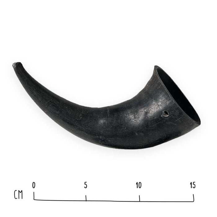 Buffalo Horn