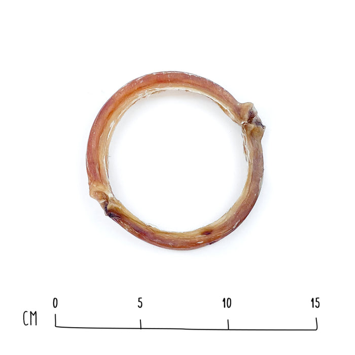 Bully Ring