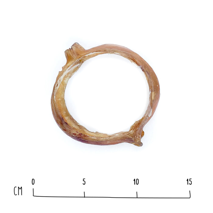 Bully Ring