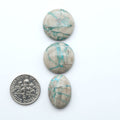 Carico Lake Turquoise cabochons with vibrant aqua-blue to turquoise tones and natural matrix, ideal for rings, pendants, and artisan jewelry.