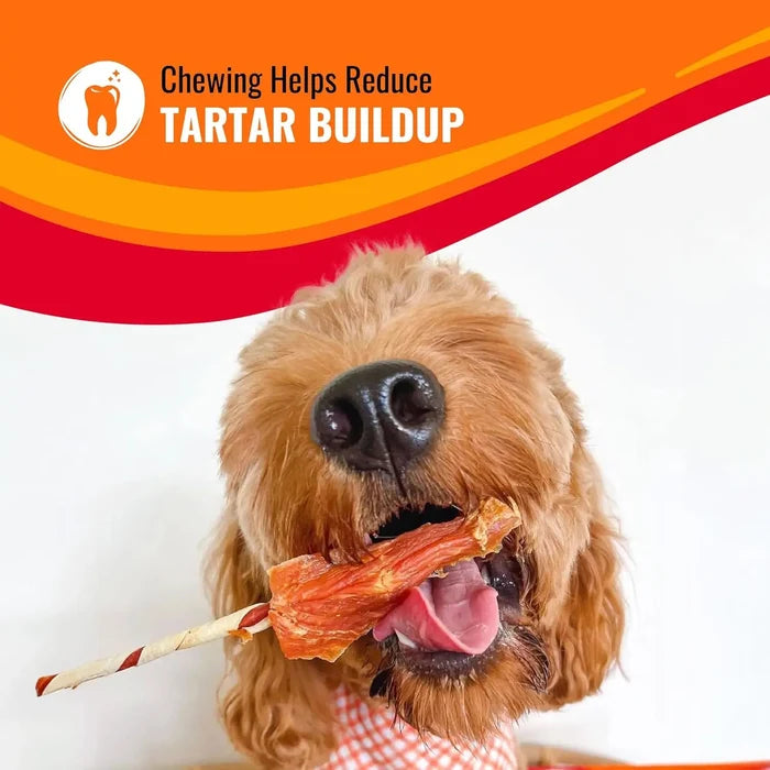 Chicken Flavor Dumbbell Dog Chews, Long-Lasting Rawhide Treats for Small Breeds Happy Tails Pet Shop Store