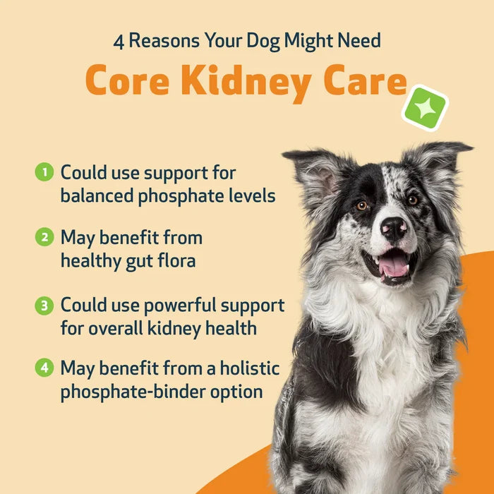 CORE KIDNEY CARE - Daily Phosphate Binder for Dogs