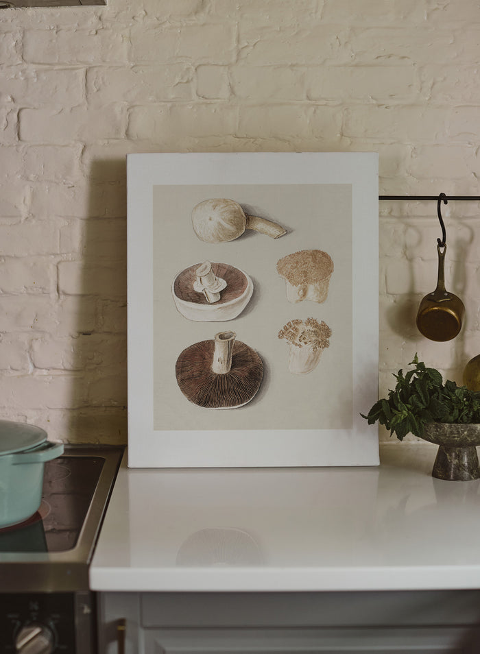 Culinary Fungi, Canvas