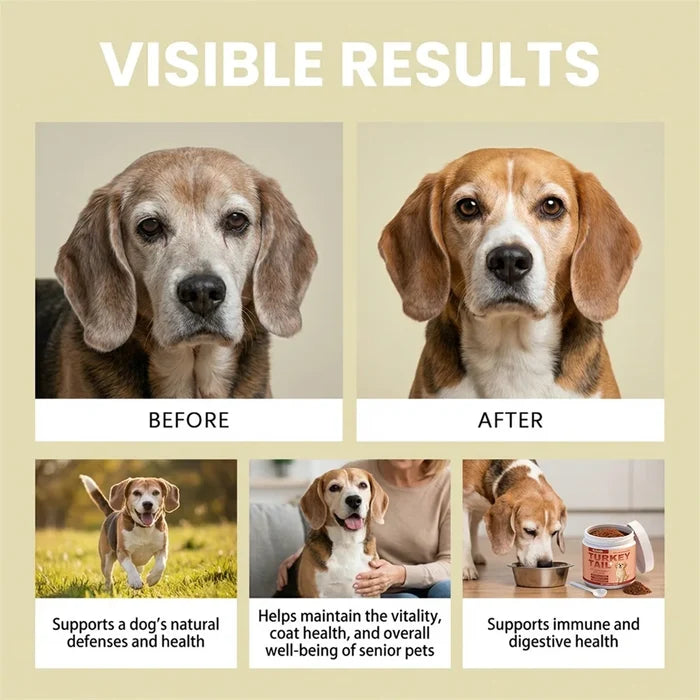 Daily Dog Supplement For Itchy Skin And Stiff Joints Promotes Health Skin & Shiny Coat. Radiant-Glow Happy Tails Pet Shop Store