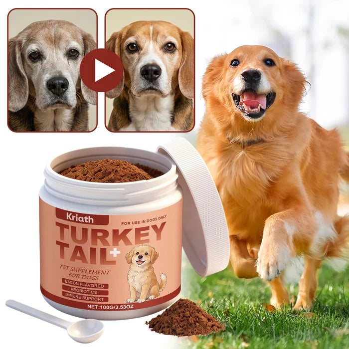 Daily Dog Supplement For Itchy Skin And Stiff Joints Promotes Health Skin & Shiny Coat. Radiant-Glow Happy Tails Pet Shop Store