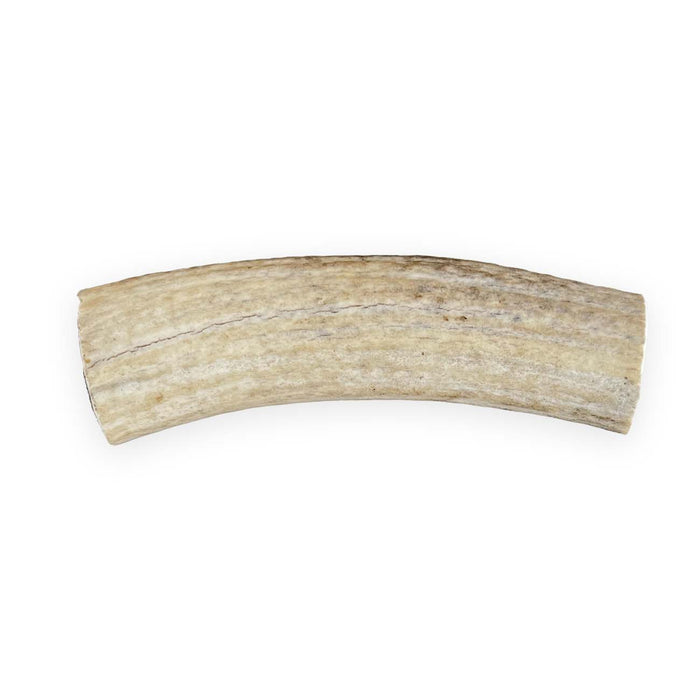 Deer Antler
