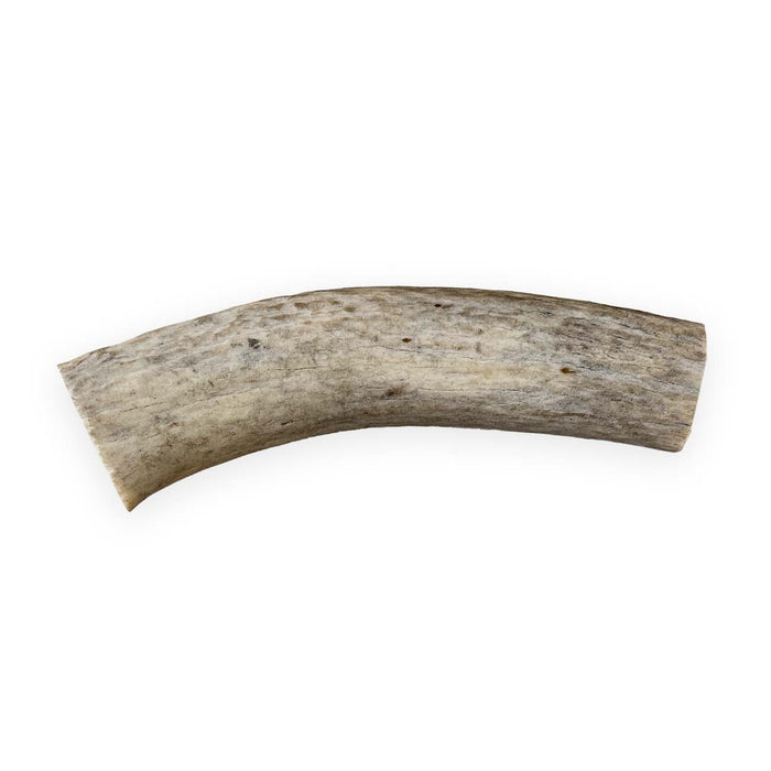 Deer Antler