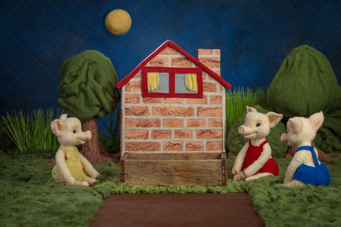 Digital  Backdrop
