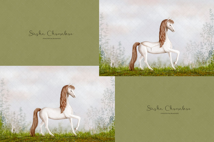 Digital Backdrop