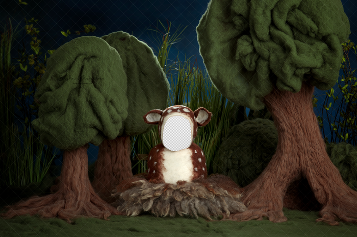 Digital Backdrop