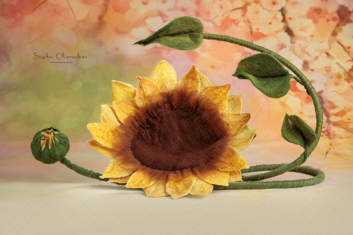 Digital  Backdrop