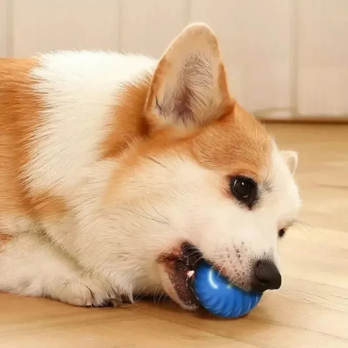 Dog Toy Ball Automatic Moving Bouncing Rolling Ball USB Smart Puppy Interactive Dog Chew Toy Ball Happy Tails Pet Shop Store