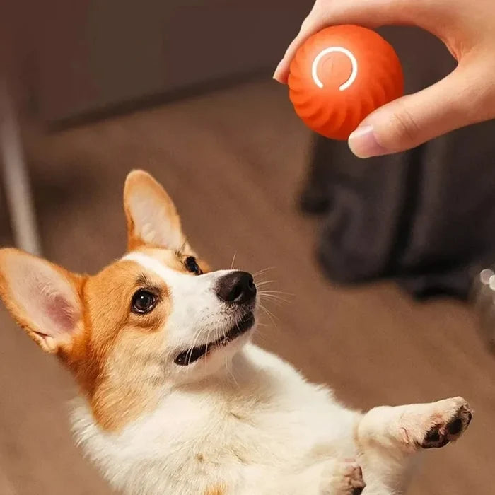 Dog Toy Ball Automatic Moving Bouncing Rolling Ball USB Smart Puppy Interactive Dog Chew Toy Ball Happy Tails Pet Shop Store