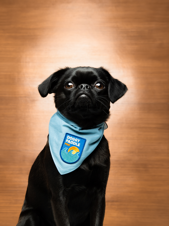 Doggy Paddle Pro Badge