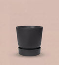 14cm / Black