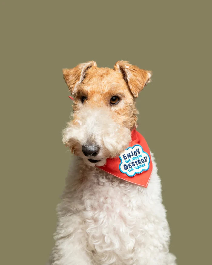 Enjoy the Squeak Badge